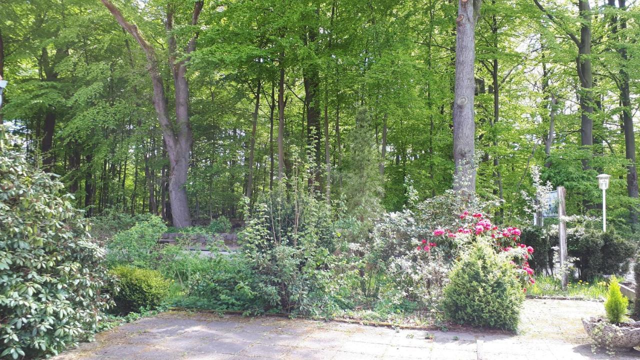 Pension Auetal Dohle Exteriör bild